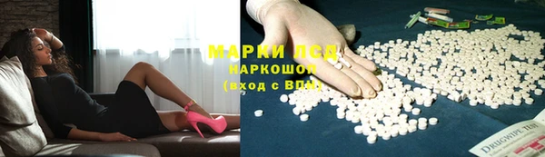 прущие грибы Богданович