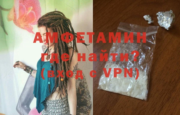 прущие грибы Богданович