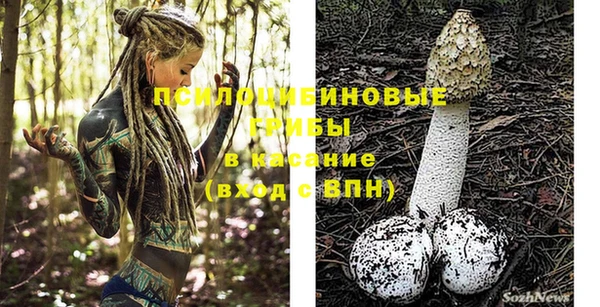 твердый Бугульма