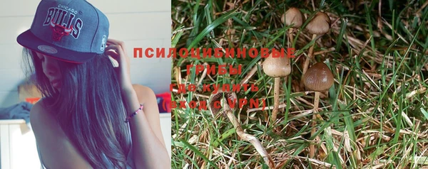 стаф Бронницы