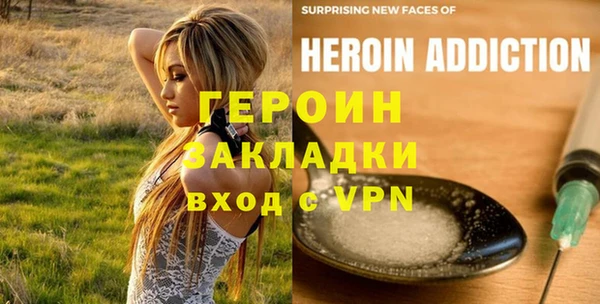 прущие грибы Богданович