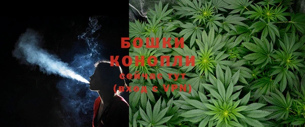 прущие грибы Богданович