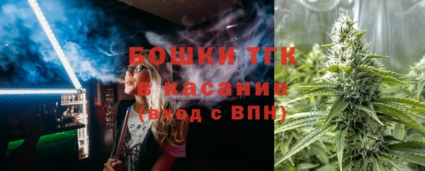 тгк Богородицк