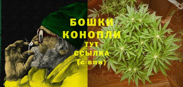 прущие грибы Богданович